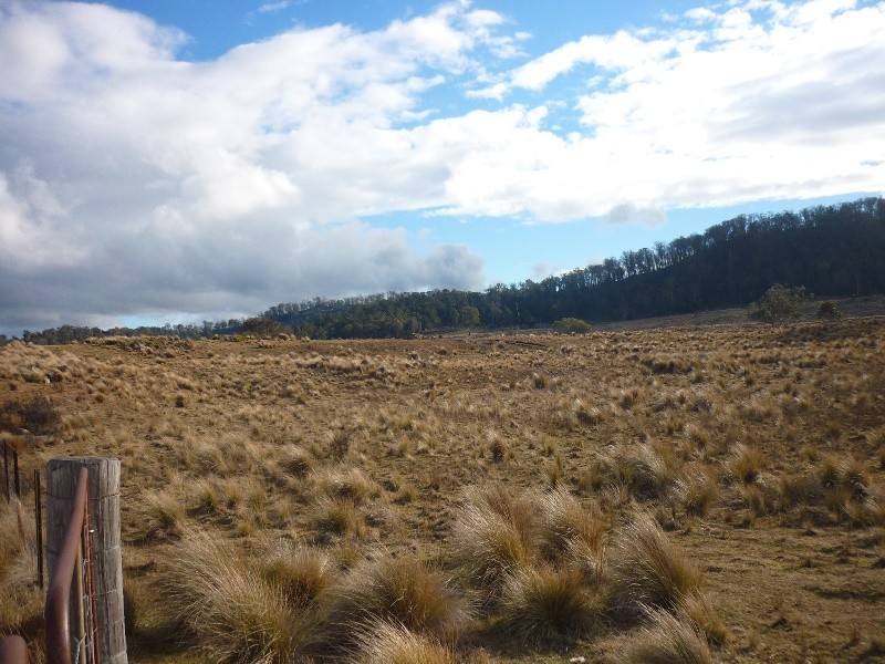 Lot 5 Tuross Road, Kybeyan NSW 2631