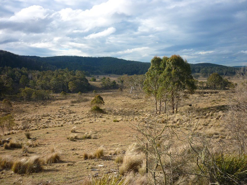 Lot 5 Tuross Road, Kybeyan NSW 2631