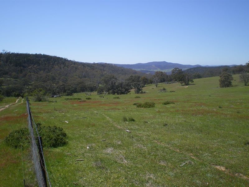 613 Wroes Road, Jimenbuen NSW 2630