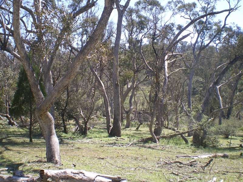 613 Wroes Road, Jimenbuen NSW 2630