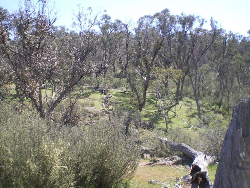 613 Wroes Road, Jimenbuen NSW 2630