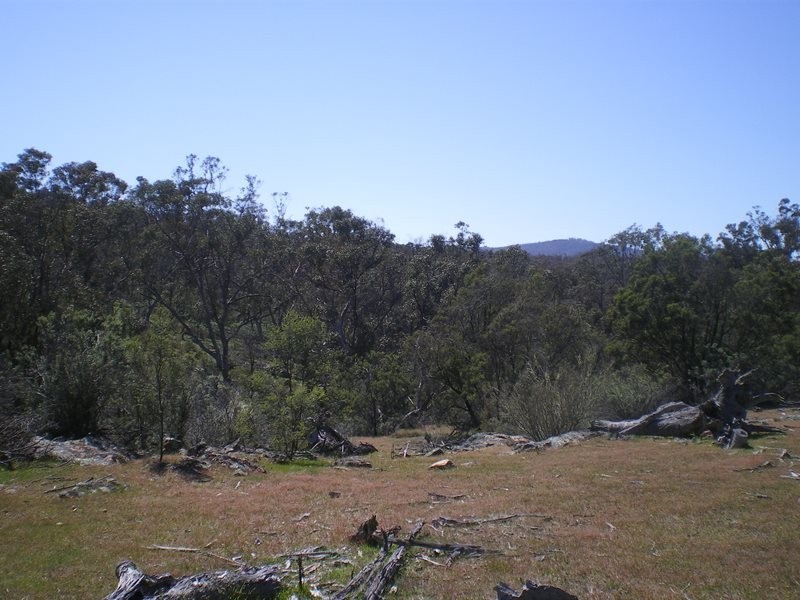 613 Wroes Road, Jimenbuen NSW 2630