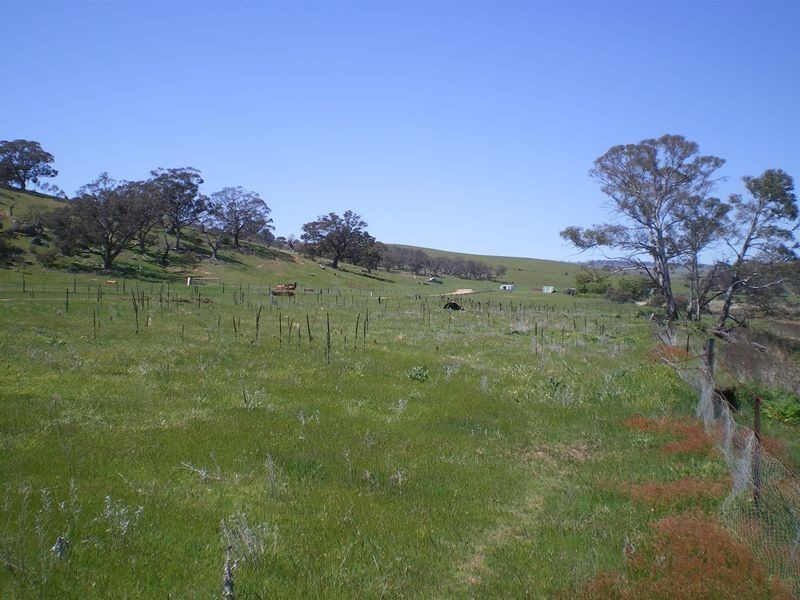 Lot 801 Ironmongie Road, Bobundara NSW 2630