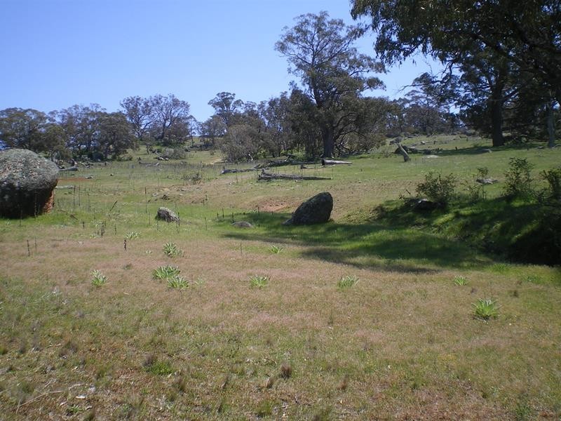 Lot 801 Ironmongie Road, Bobundara NSW 2630