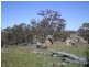 Lot 801 Ironmongie Road, Bobundara NSW 2630
