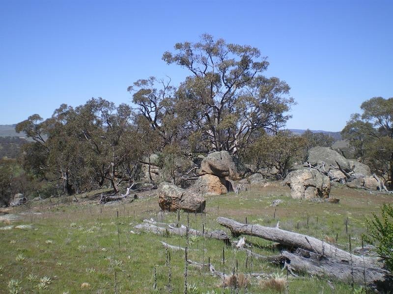 Lot 801 Ironmongie Road, Bobundara NSW 2630