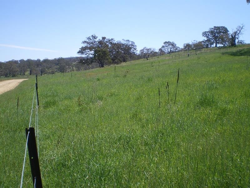 Lot 801 Ironmongie Road, Bobundara NSW 2630