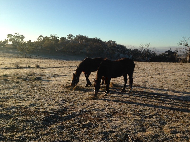 198 Bunyanvale Road, Cooma NSW 2630