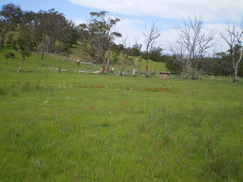 198 Bunyanvale Road, Cooma NSW 2630