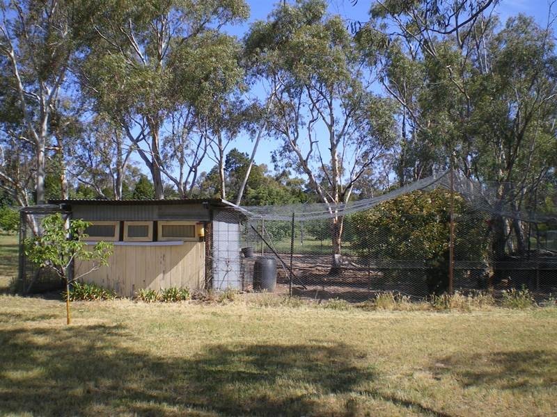 101 Perkins Road, Cooma NSW 2630