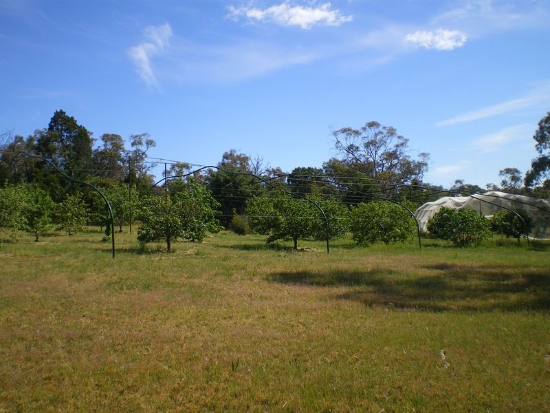 101 Perkins Road, Cooma NSW 2630