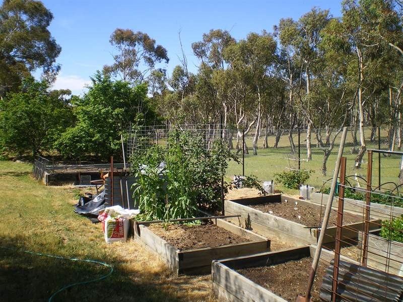 101 Perkins Road, Cooma NSW 2630