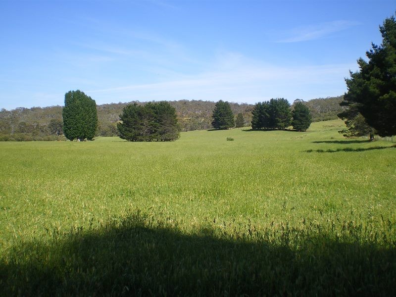 120 Peak View Road, Numeralla NSW 2630