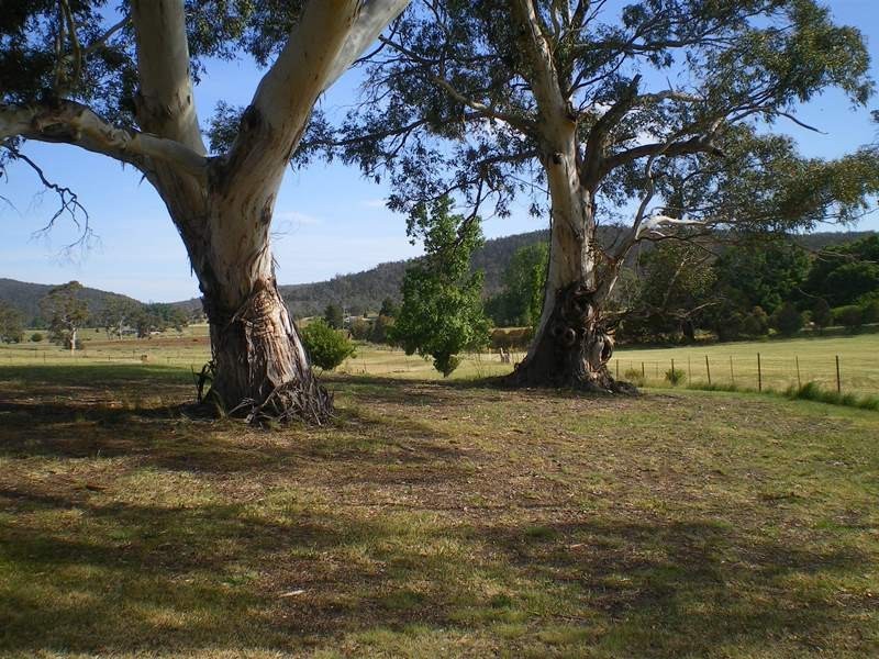 31 Alira Lane, Cooma NSW 2630