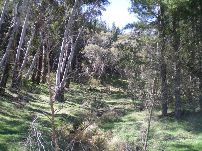 1628 Jerangle Road, Anembo NSW 2621