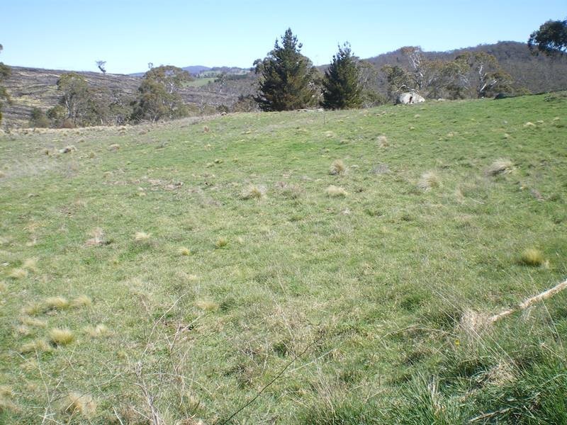 1628 Jerangle Road, Anembo NSW 2621