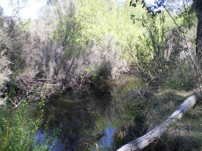 1628 Jerangle Road, Anembo NSW 2621