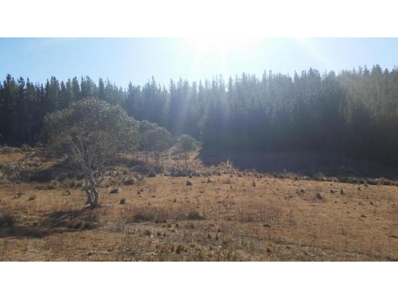 1628 Jerangle Road, Anembo NSW 2621