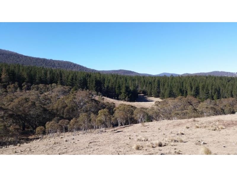 1628 Jerangle Road, Anembo NSW 2621