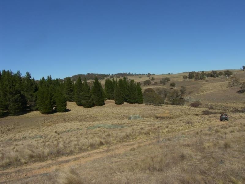 1628 Jerangle Road, Anembo NSW 2621