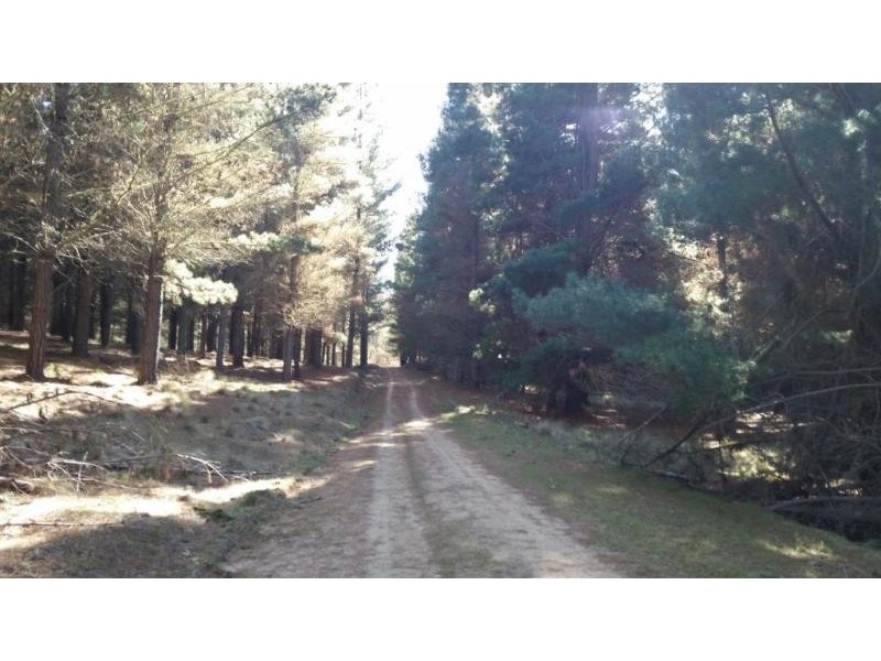 1628 Jerangle Road, Anembo NSW 2621