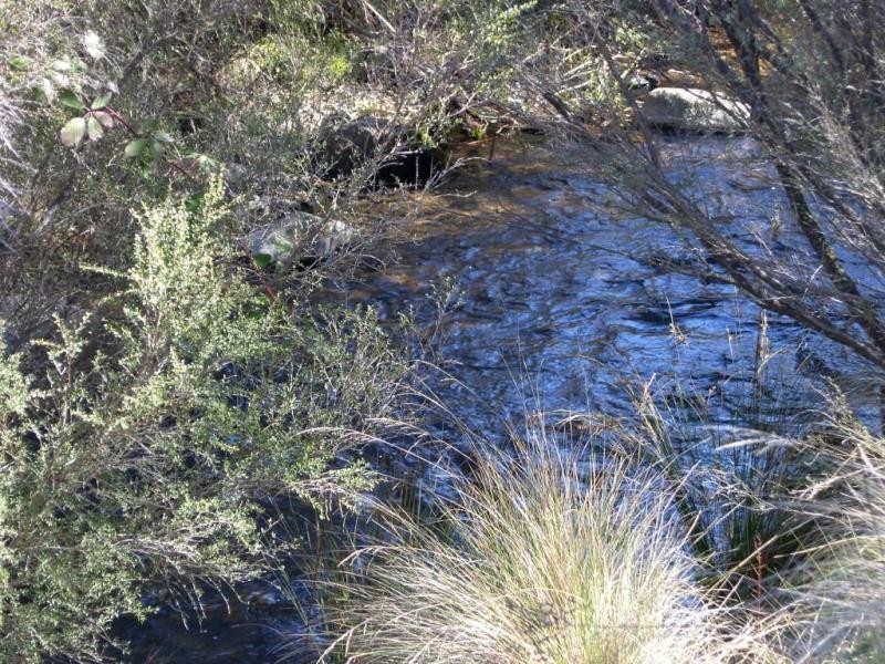 1628 Jerangle Road, Anembo NSW 2621