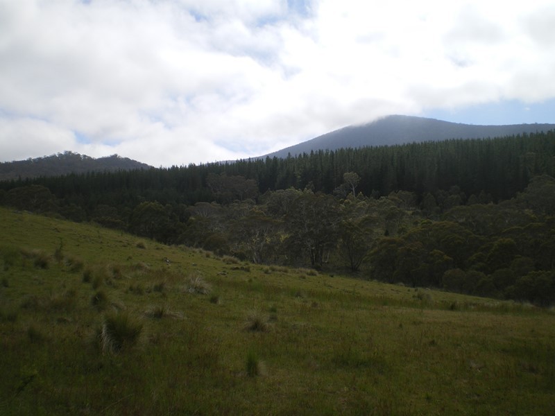 1628 Jerangle Road, Anembo NSW 2621