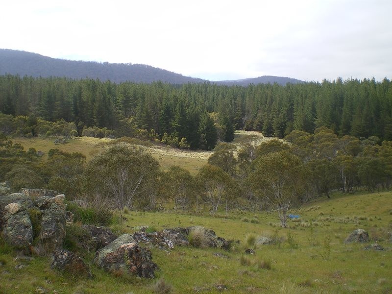 1628 Jerangle Road, Anembo NSW 2621