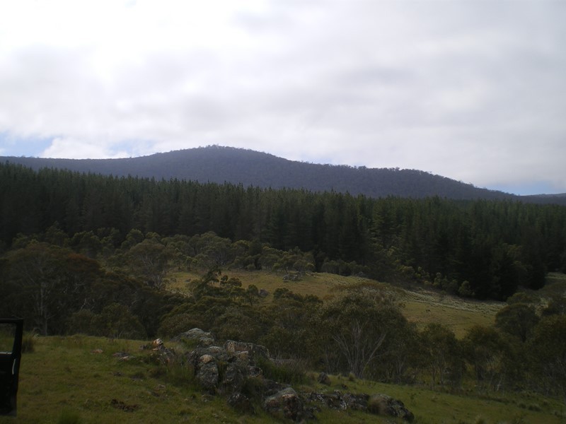 1628 Jerangle Road, Anembo NSW 2621