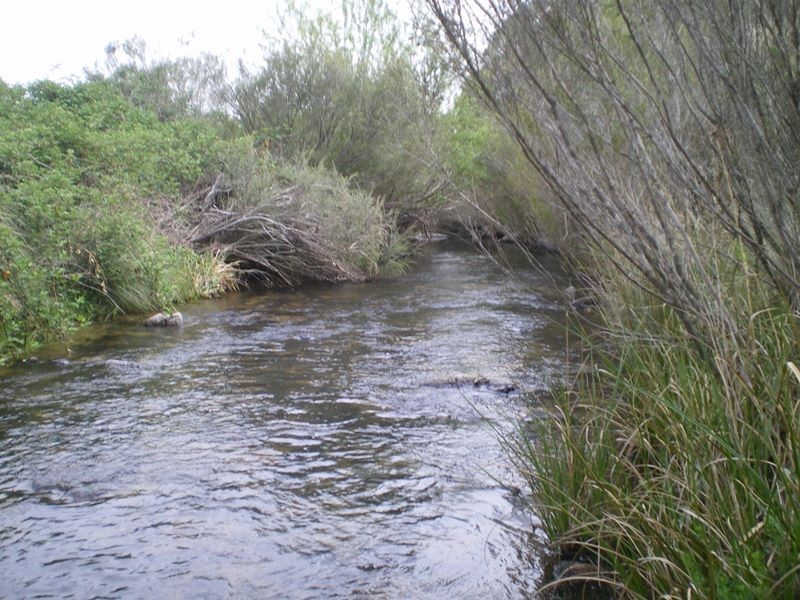 1628 Jerangle Road, Anembo NSW 2621