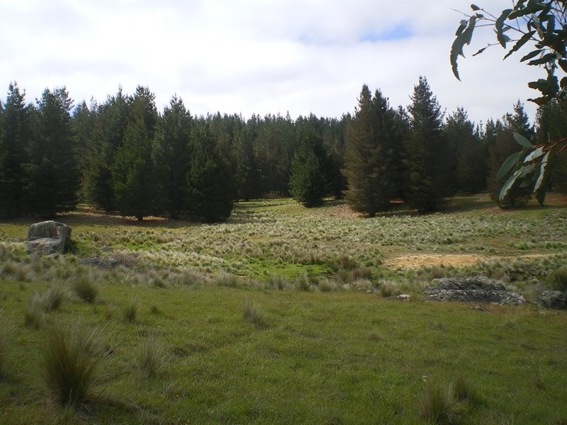 1628 Jerangle Road, Anembo NSW 2621