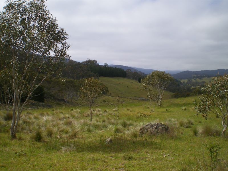 1628 Jerangle Road, Anembo NSW 2621