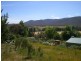 577 Warrens Corner Road, Numeralla NSW 2630