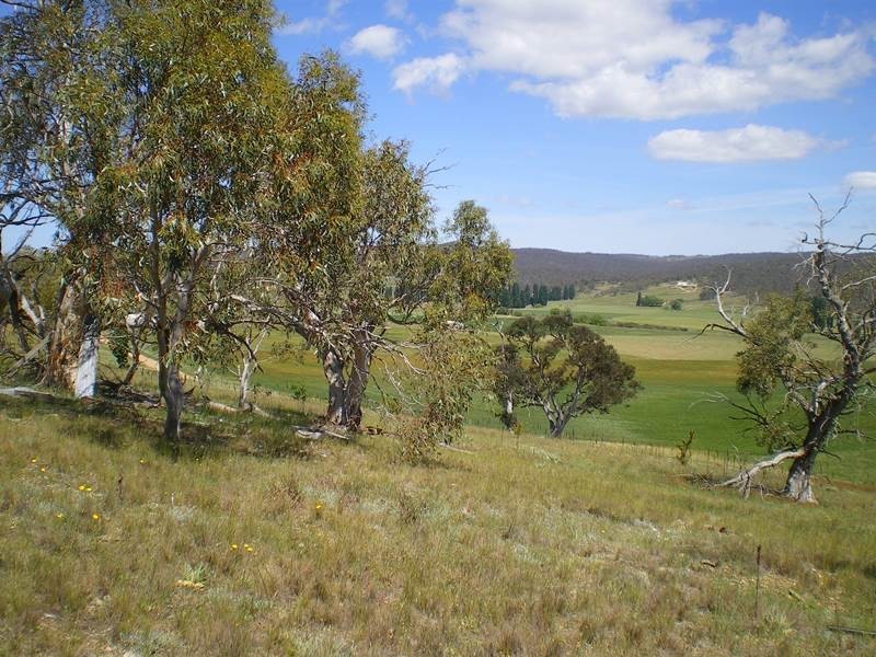 577 Warrens Corner Road, Numeralla NSW 2630