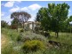 577 Warrens Corner Road, Numeralla NSW 2630