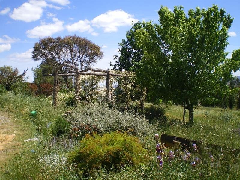 577 Warrens Corner Road, Numeralla NSW 2630