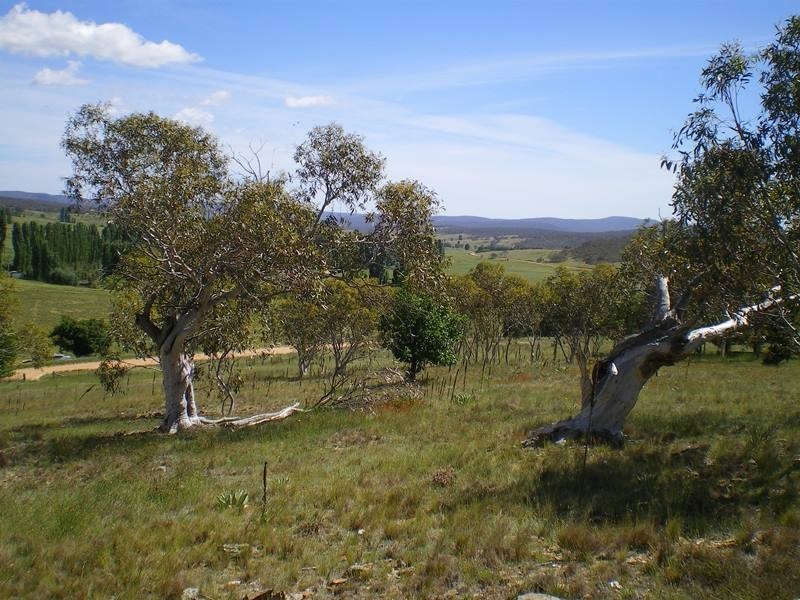 577 Warrens Corner Road, Numeralla NSW 2630