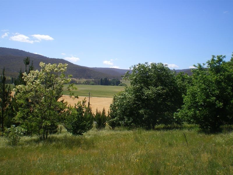 577 Warrens Corner Road, Numeralla NSW 2630