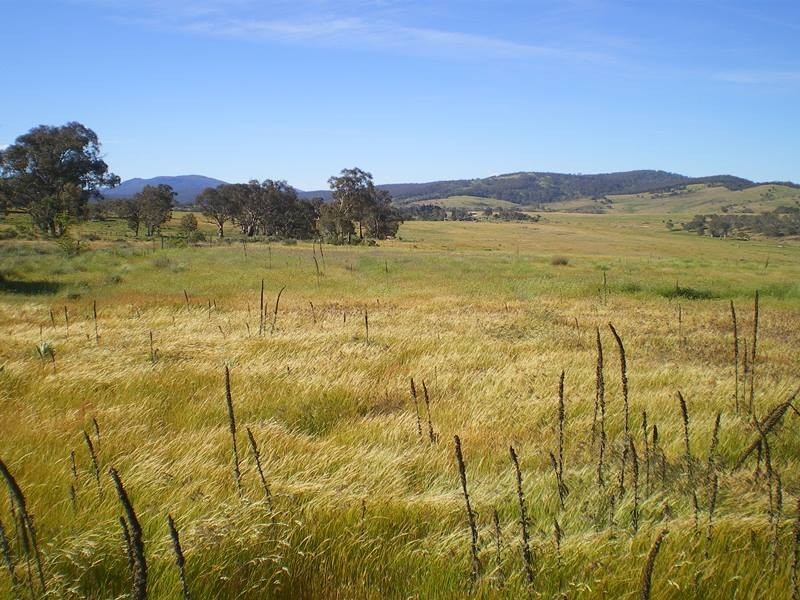 2110 Bobeyan Road, Adaminaby NSW 2629