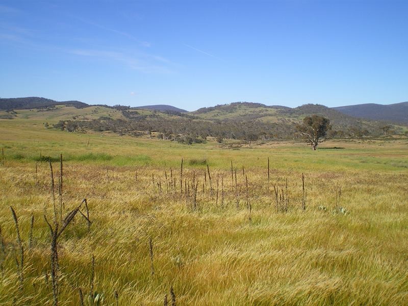 2110 Bobeyan Road, Adaminaby NSW 2629