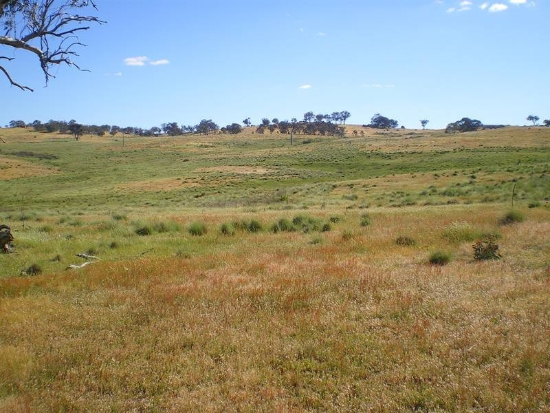 2110 Bobeyan Road, Adaminaby NSW 2629