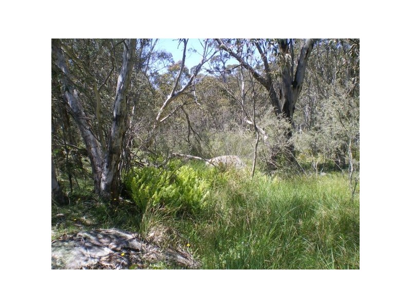 1 Jarake Road, Nimmitabel NSW 2631