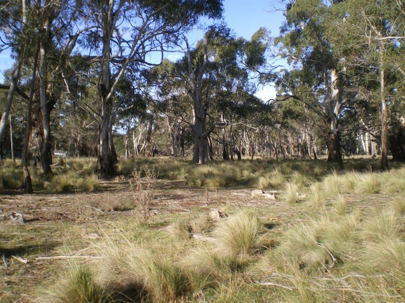 500 Creewah Road, Cathcart NSW 2632