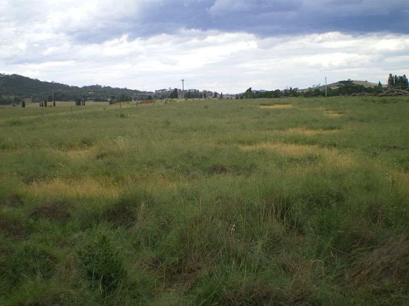 Lot 4 Monaro Hwy, Colinton NSW 2626