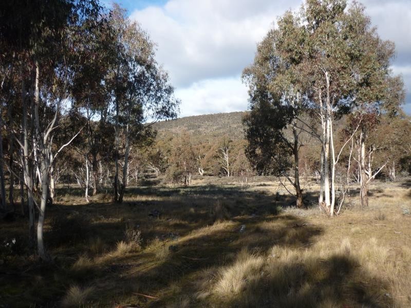 Lot 128 Ashvale Road, Adaminaby NSW 2629