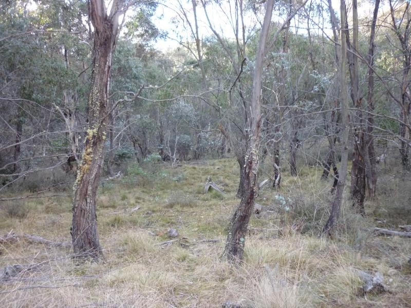 Lot 128 Ashvale Road, Adaminaby NSW 2629