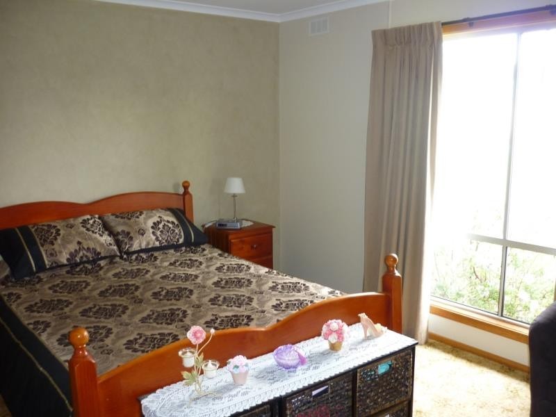 20 Nichol Street, Bendoc VIC 3888