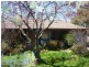 17 Kippara Drive, Berridale NSW 2628