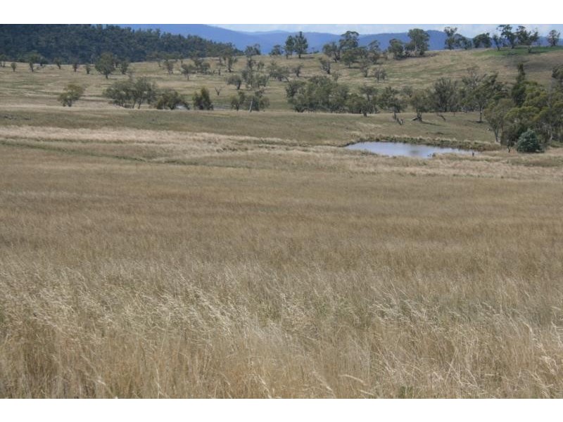 “Tamban” via Carlaminda Road, Cooma NSW 2630