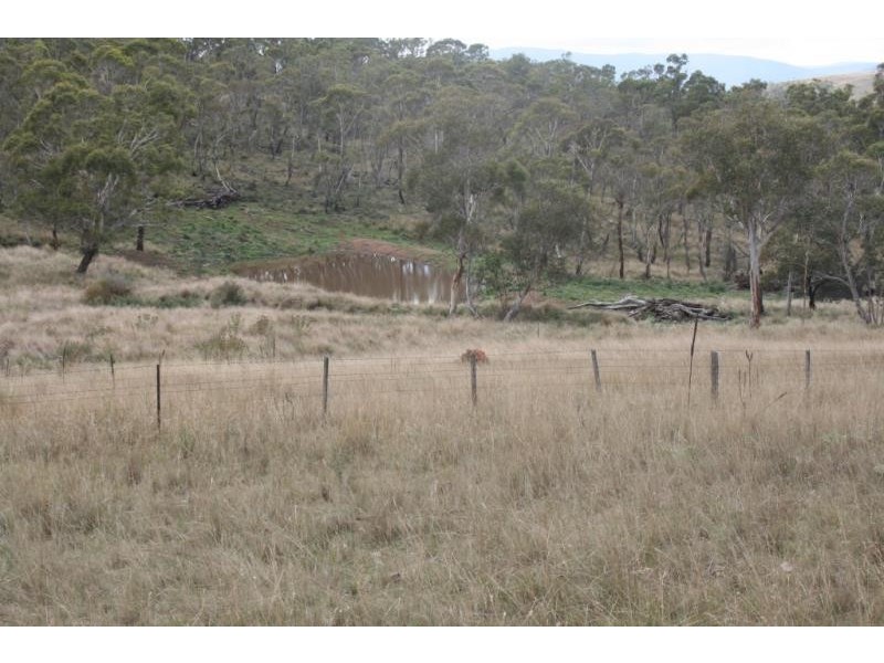 “Tamban” via Carlaminda Road, Cooma NSW 2630